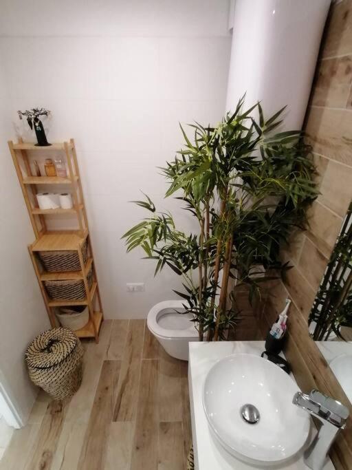 Superbe Studio Ethnique Lägenhet Hyères Exteriör bild