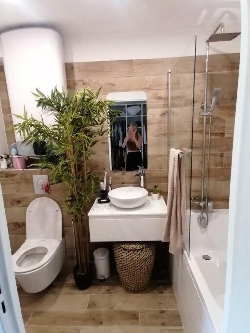Superbe Studio Ethnique Lägenhet Hyères Exteriör bild